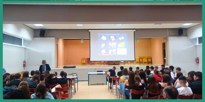 «Εφαρμογή των Μαθηματικών Αρμονικών Κανόνων της φύσεως στην Αρχιτεκτονική και στην Τέχνη γενικά»